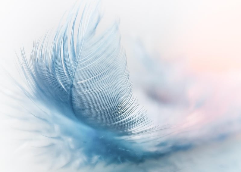 Feather Decor